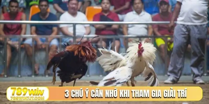 3 chú ý cần nhớ khi tham gia giải trí