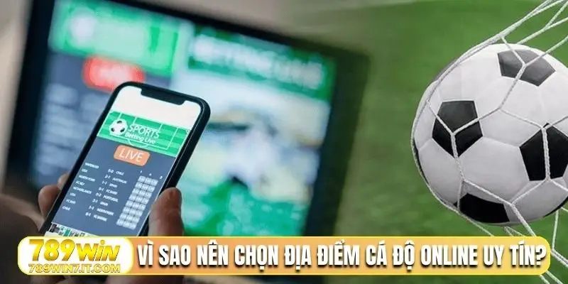 Vì sao nên chọn địa điểm cá độ online uy tín?